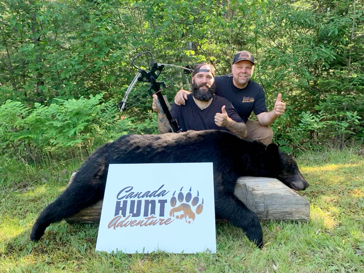 chasse à l'ours noir au Québec