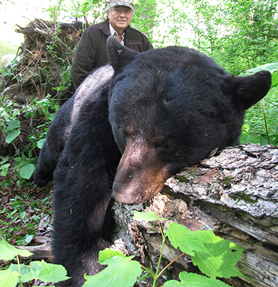 Chasse ours